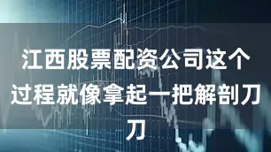 江西股票配资公司这个过程就像拿起一把解剖刀