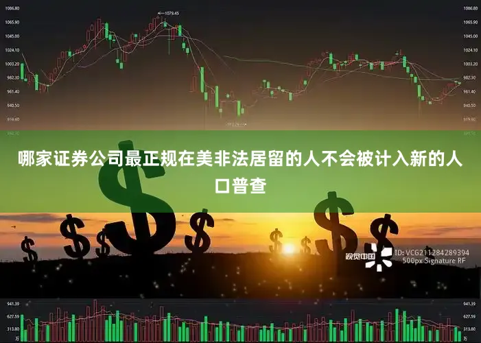 哪家证券公司最正规在美非法居留的人不会被计入新的人口普查